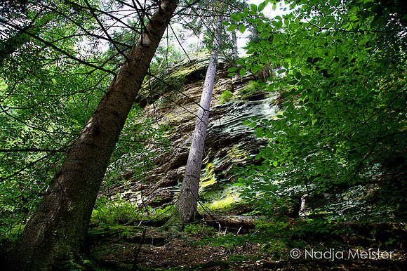 Sächsische Schweiz_by_Nadja Meister_IMG_7649