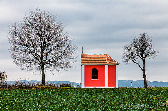 Landpartie WAGRAM & Wegmarken_(c)_Nadja Meister_IMG_8390